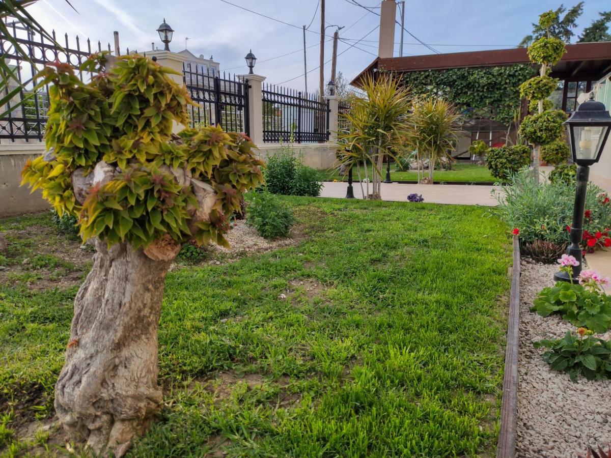 קרמסטי Simplycity Homestay Apartments מראה חיצוני תמונה